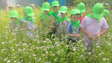 Эколята, пытливые исследователи родной природы. Эколята, пытливые исследователи родной природы.